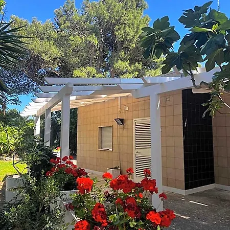 Hotel Racar